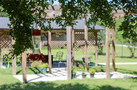 WAYCROSS HEALTH AND REHABILITATION