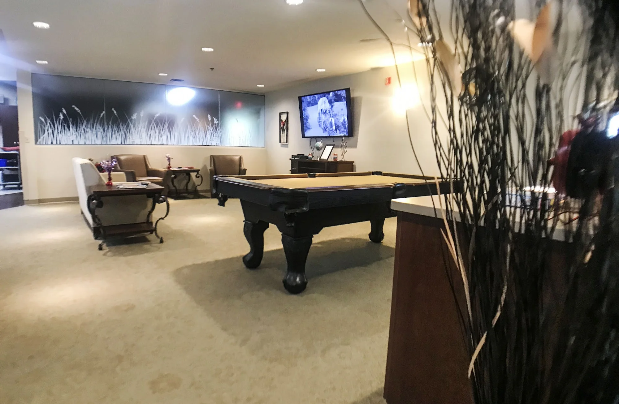 WAYNE COUNTRYVIEW CARE AND REHABILITATION