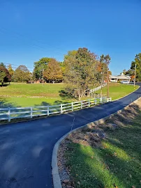 WAYSIDE FARM INC