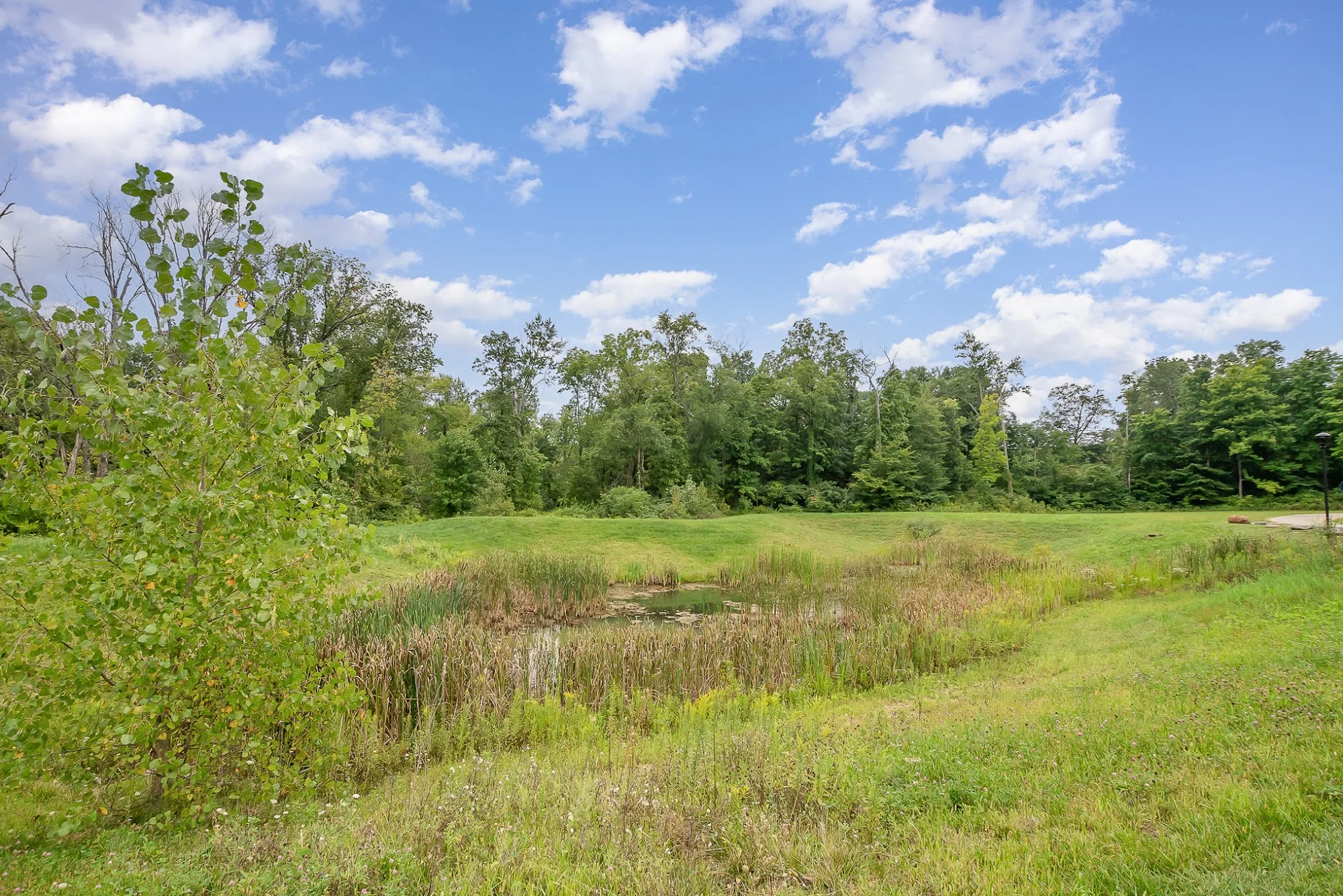 WESLEY WOODS AT NEW ALBANY