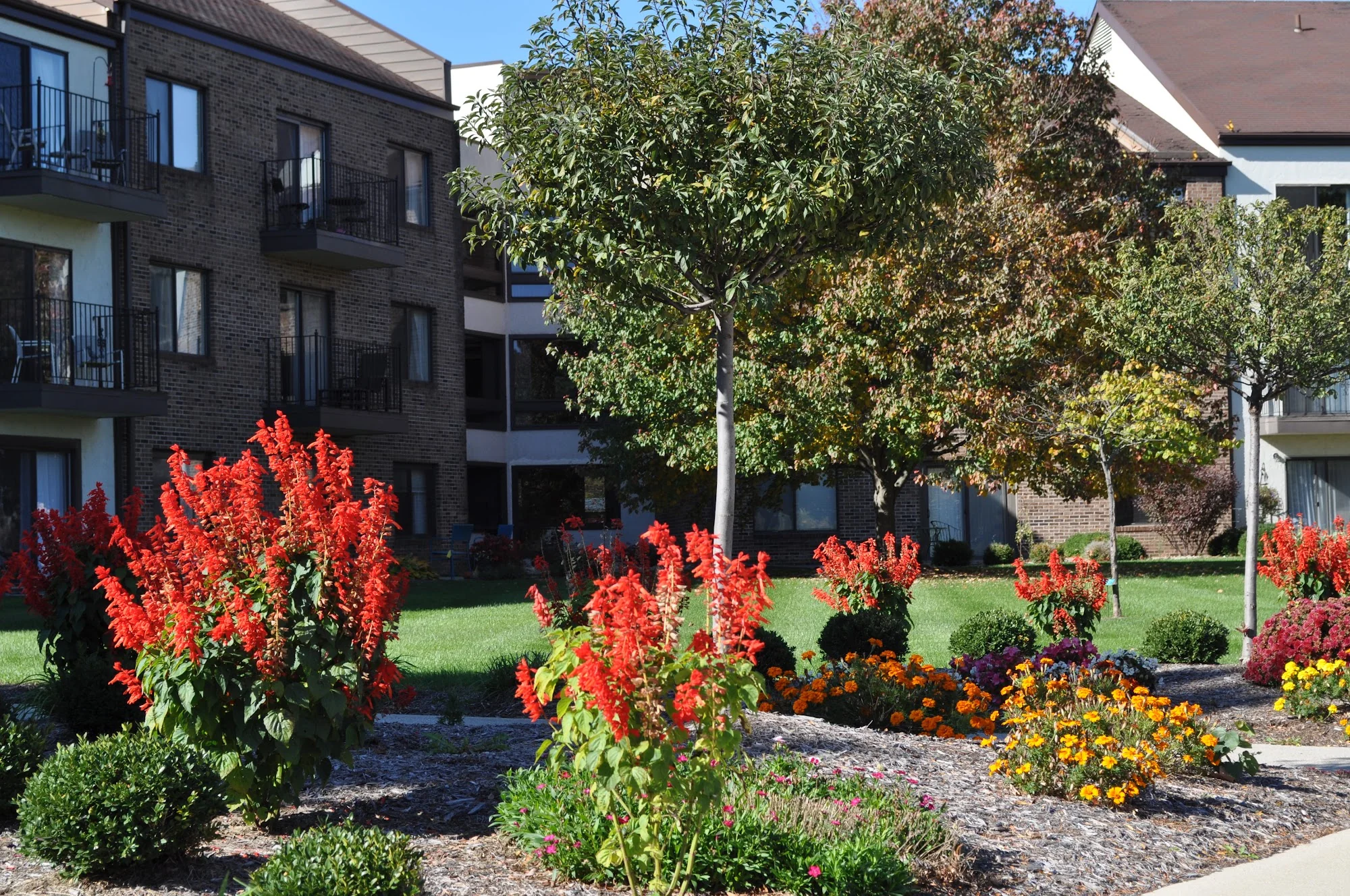WESTMINSTER VILLAGE