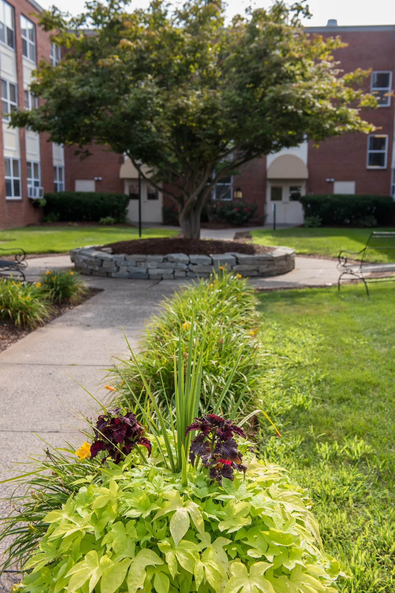 WESTSIDE CARE CENTER