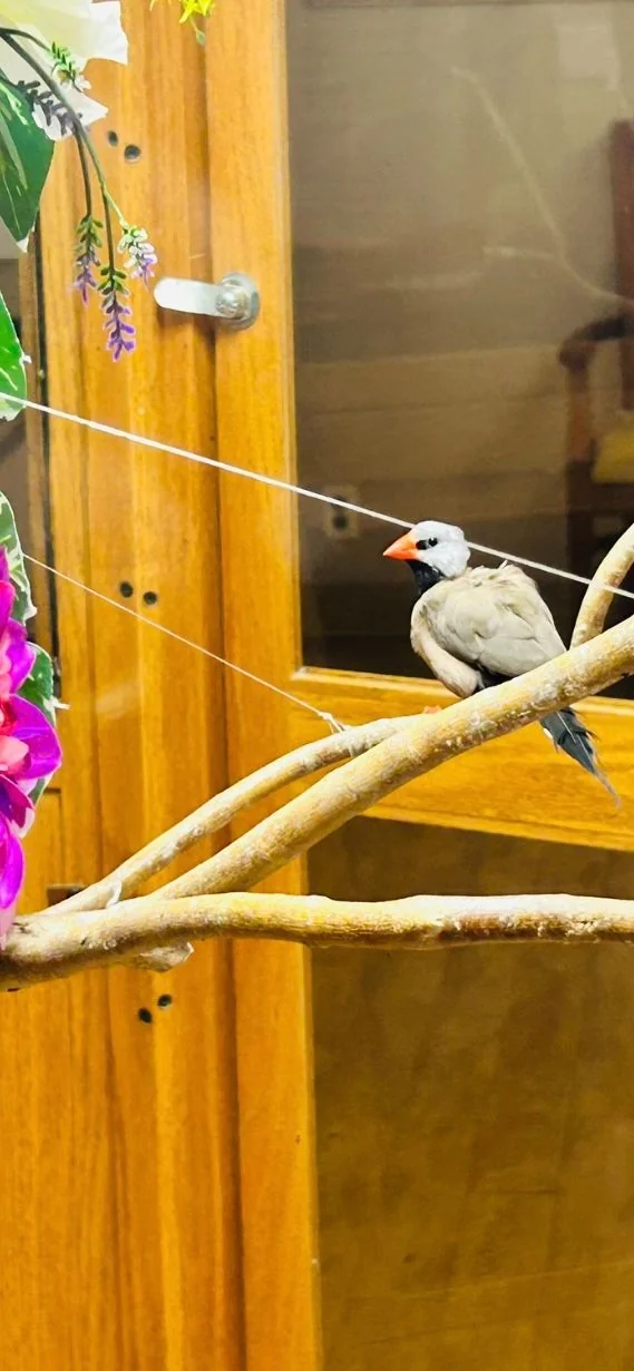 WESTVIEW NURSING AND REHABILITATION CENTER