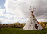 WILLOW TREE CARE CENTER
