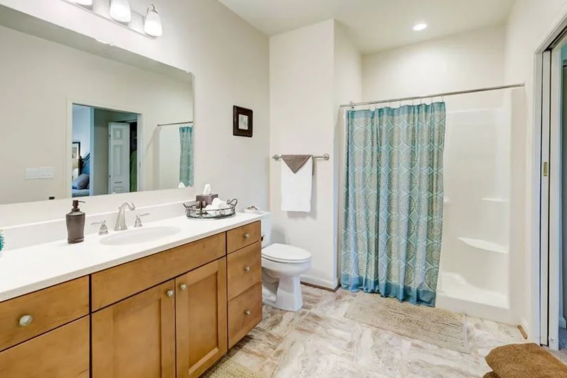 WILLOWBROOKE CT SKILLED CARE BUCKINGHAM'S CHOICE