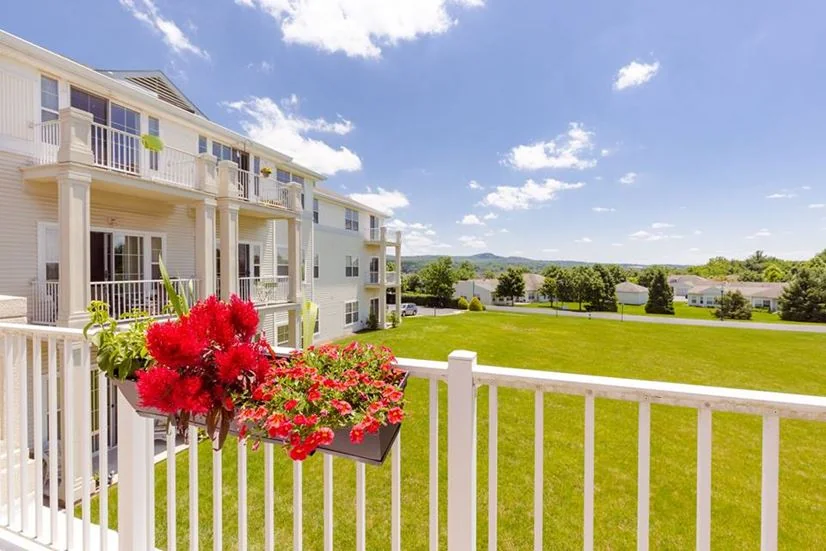 WILLOWBROOKE CT SKILLED CARE BUCKINGHAM'S CHOICE