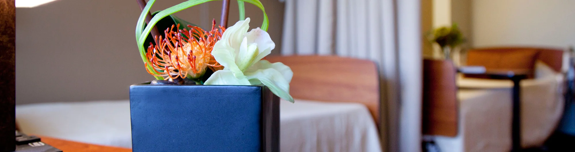 WILLOWCREEK WELLNESS & REHABILITATION