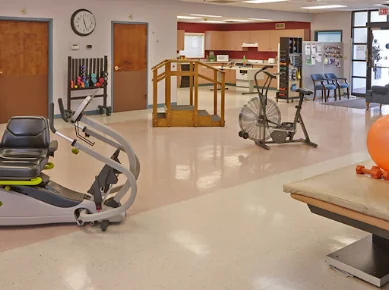 WILLOWDALE HEALTH SERVICES