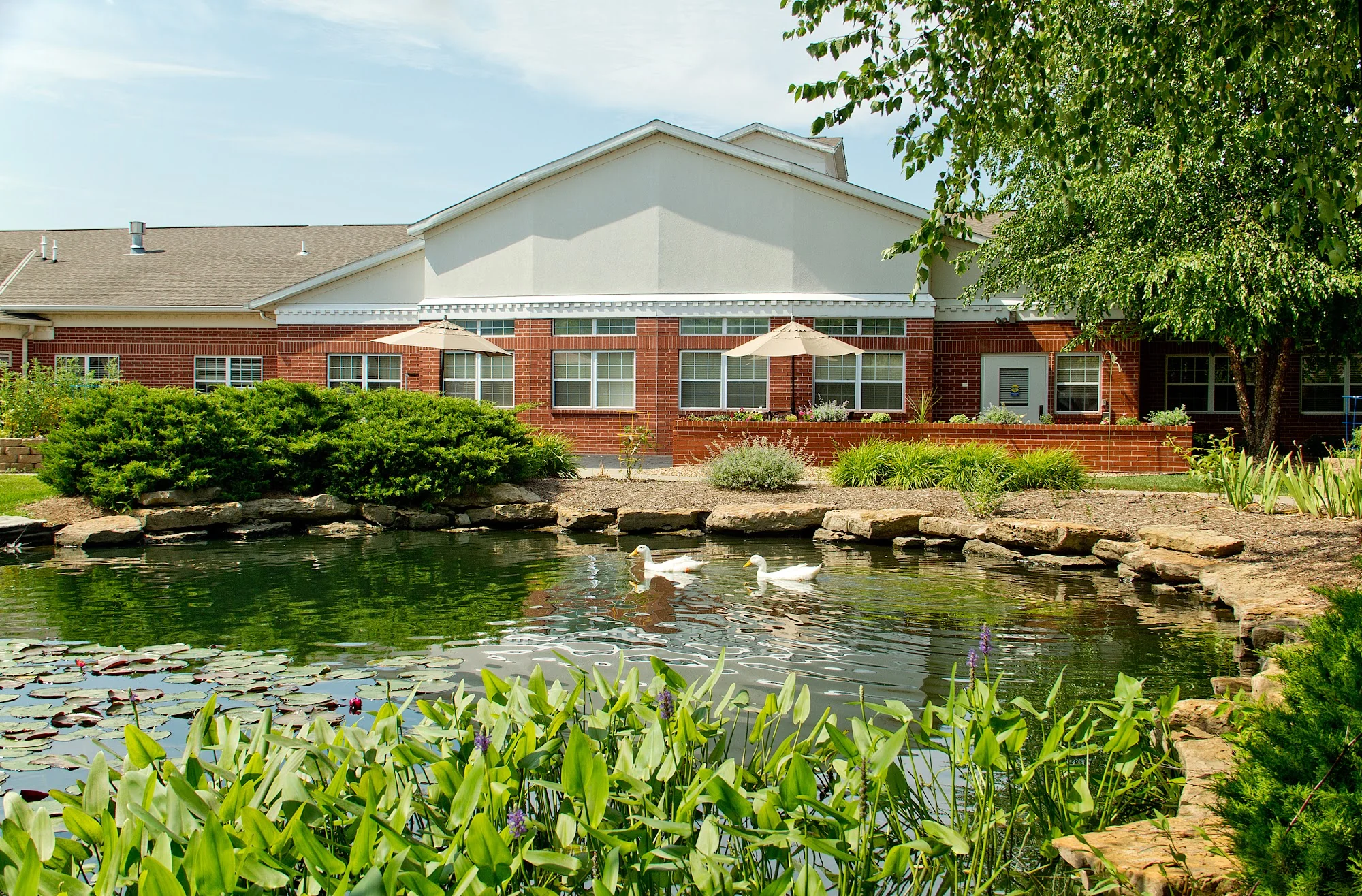 WILSHIRE AT LAKEWOOD REHAB CENTER