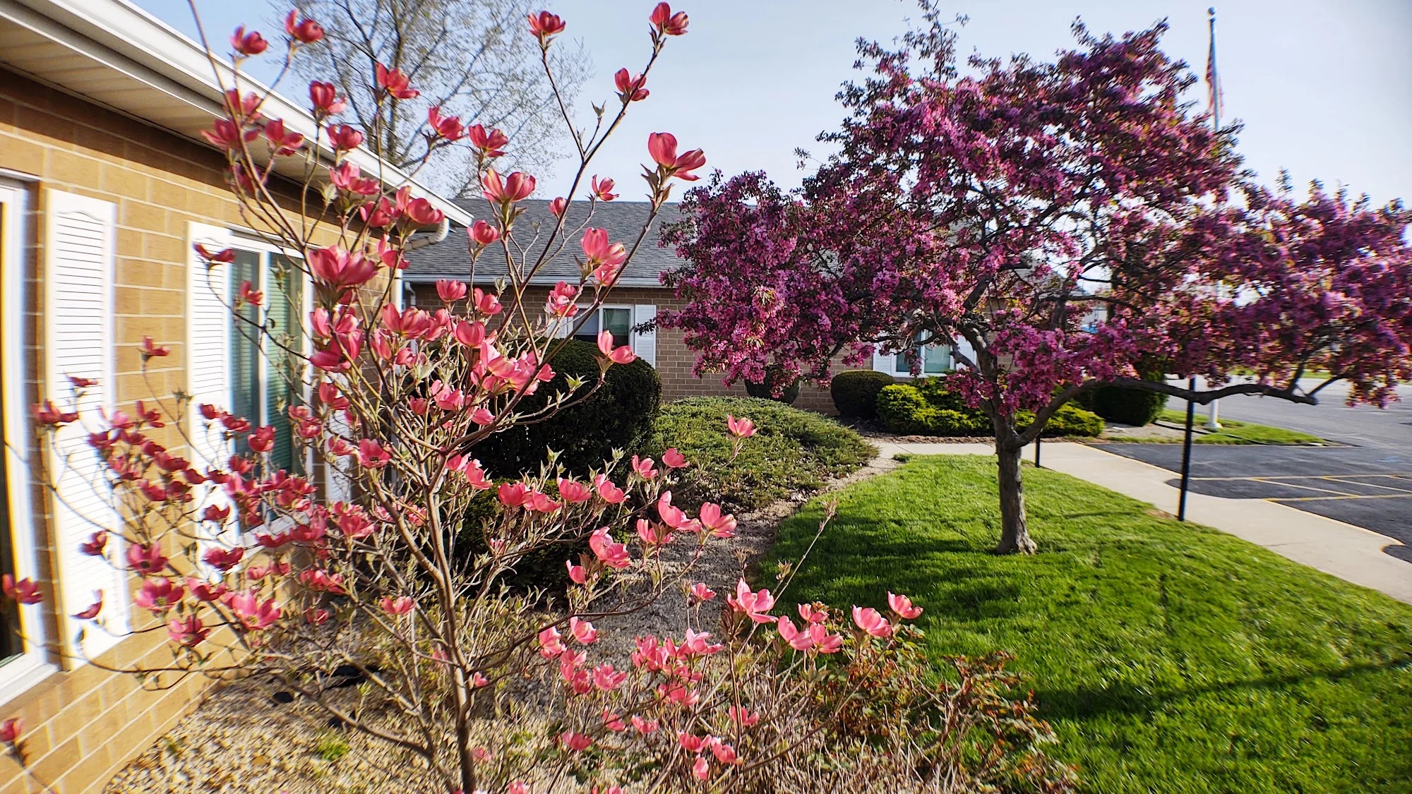 WINDSOR LANE HEALTHCARE CENTER