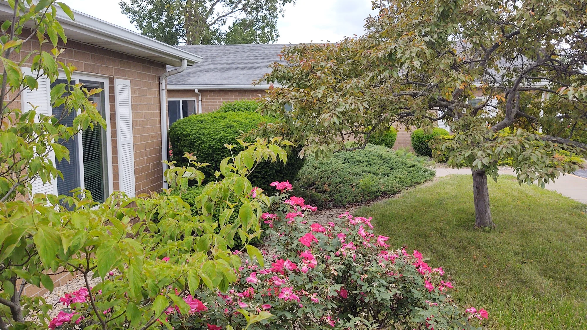 WINDSOR LANE HEALTHCARE CENTER