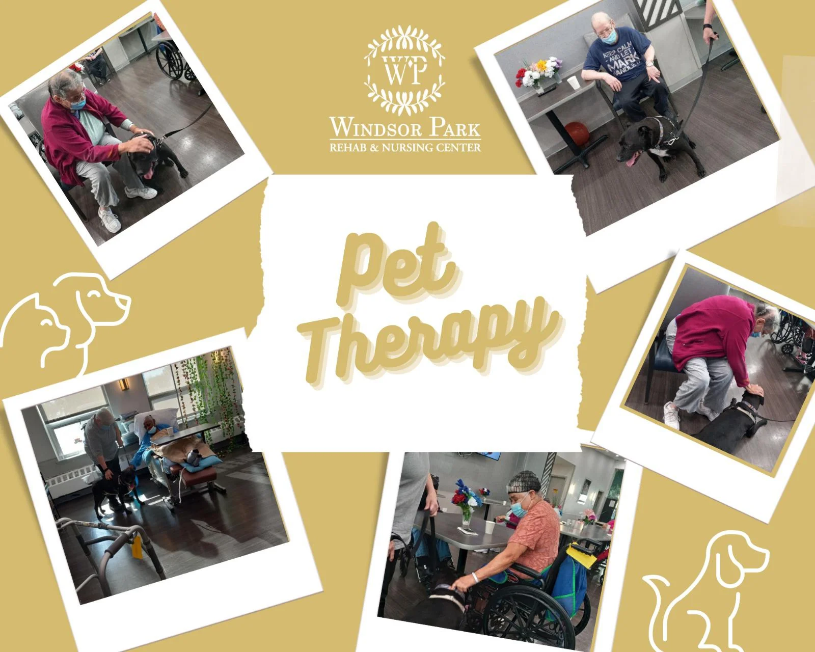 WINDSOR PARK REHAB & NURSING CENTER