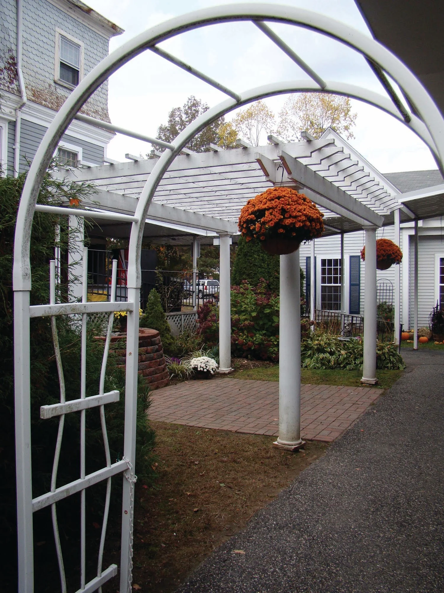 WOLCOTT HALL NURSING CENTER INC