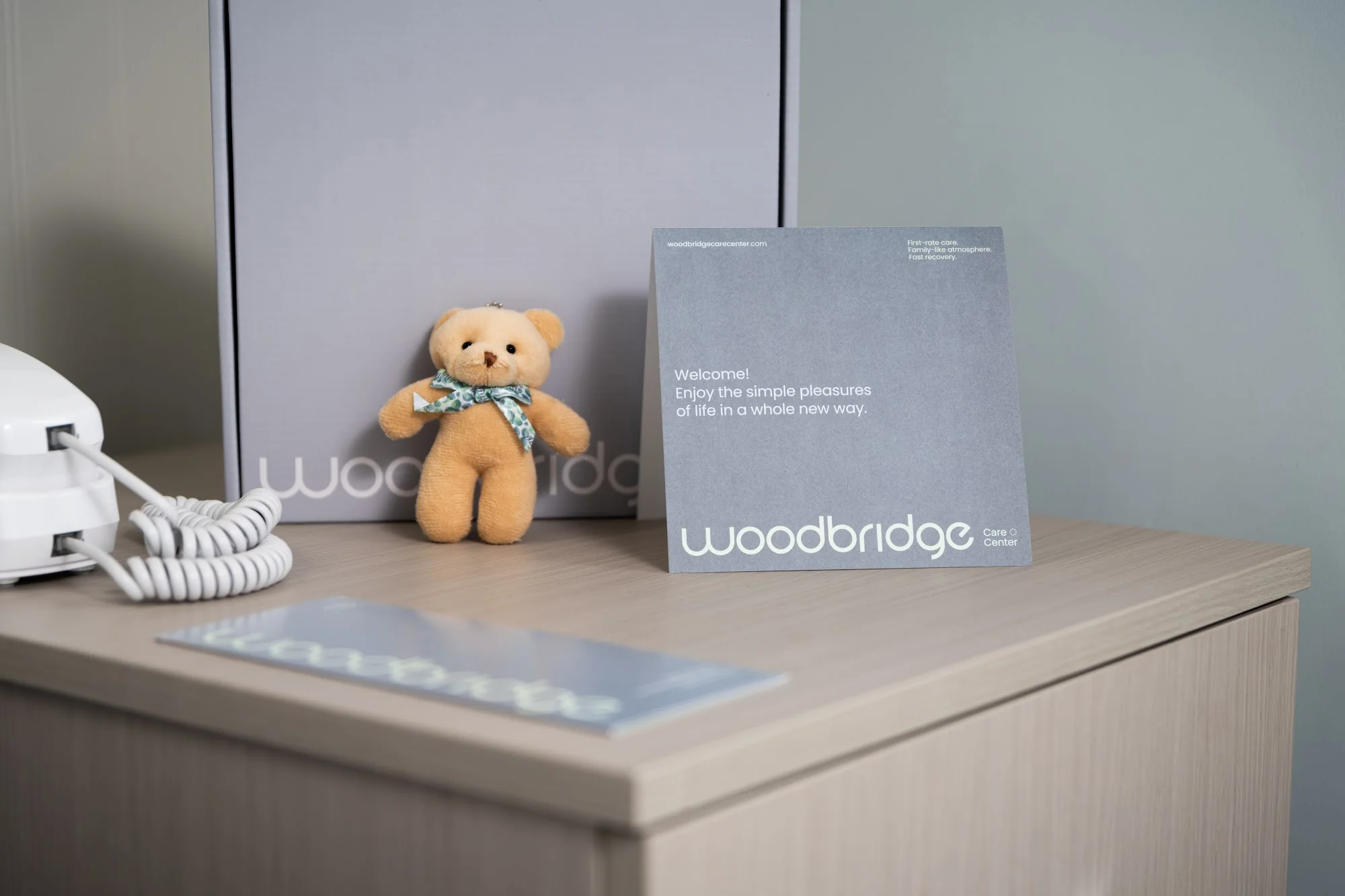 WOODBRIDGE CARE CENTER AND REHAB