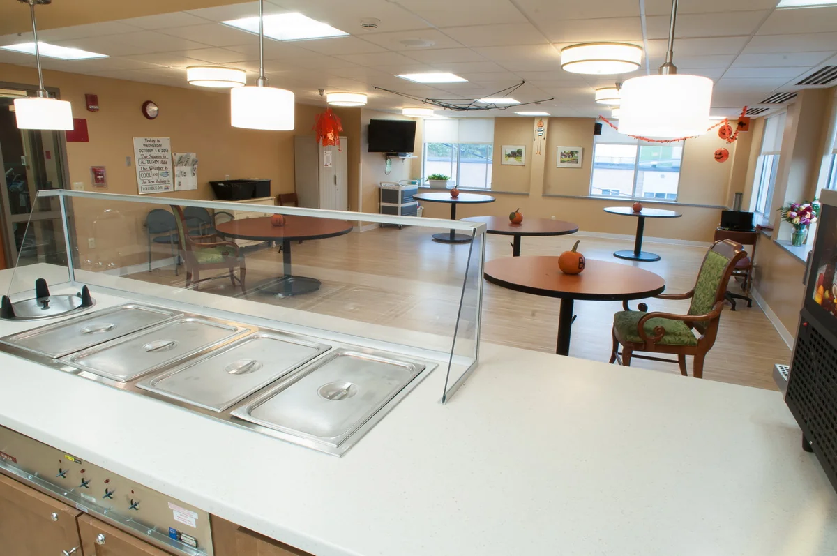 WYOMING COUNTY COMMUNITY HOSPITAL S N F