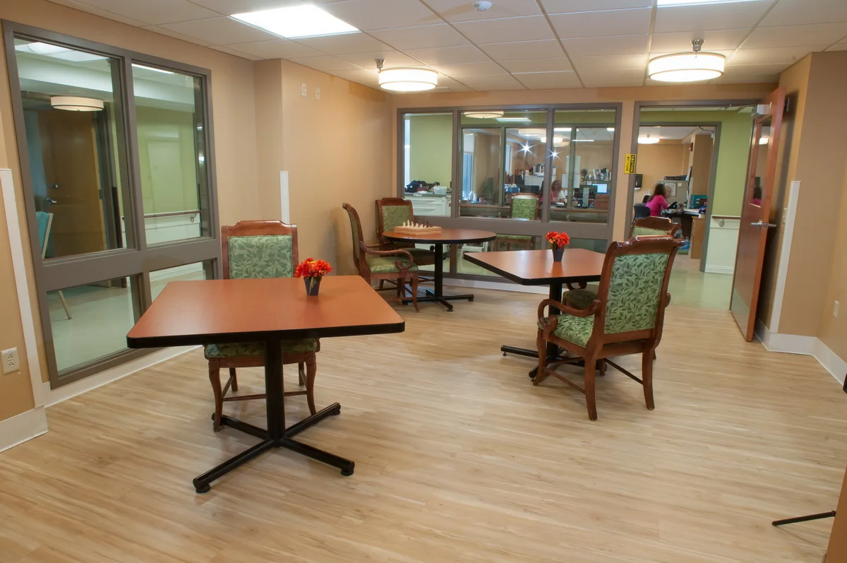 WYOMING COUNTY COMMUNITY HOSPITAL S N F