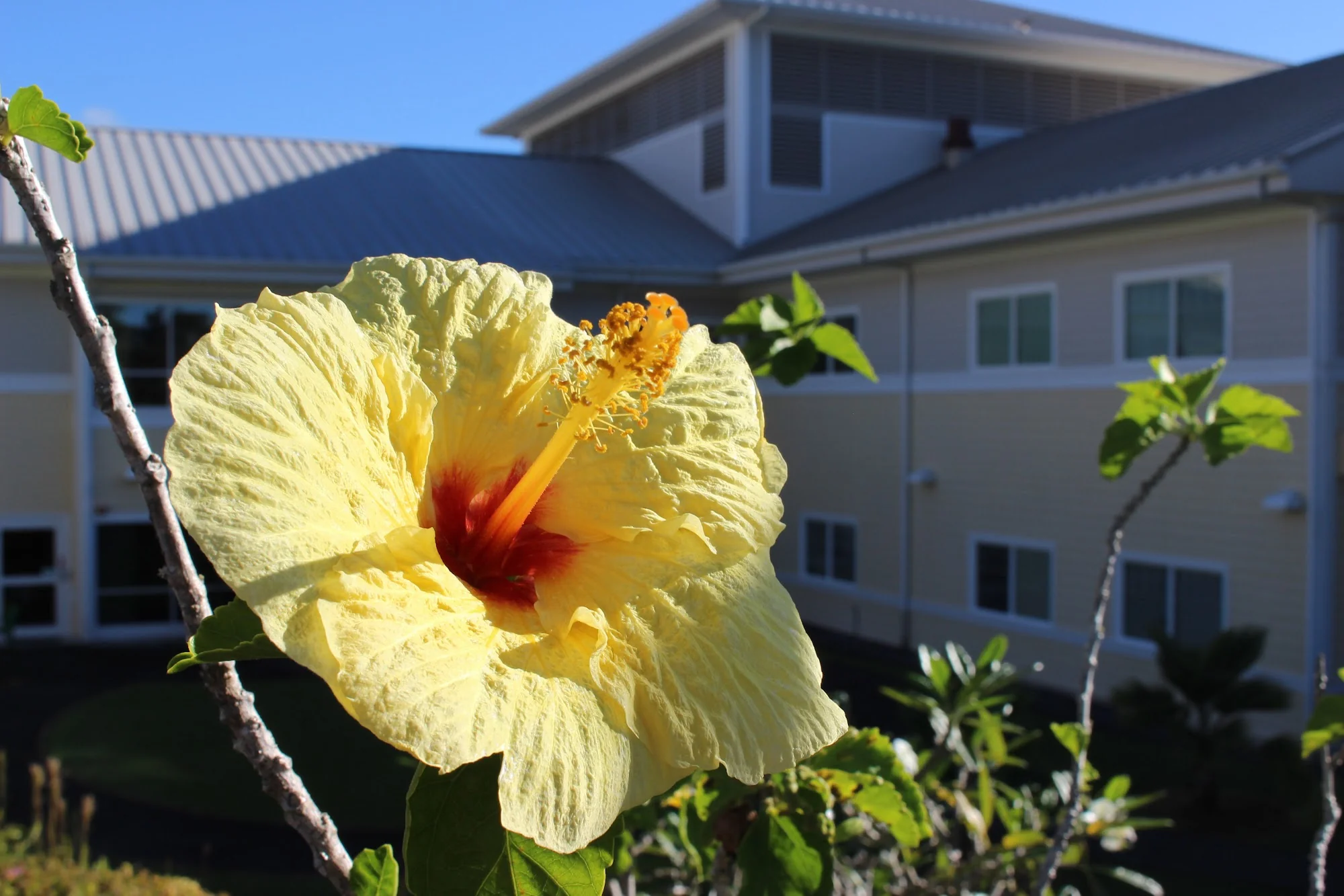 YUKIO OKUTSU STATE VETERANS HOME