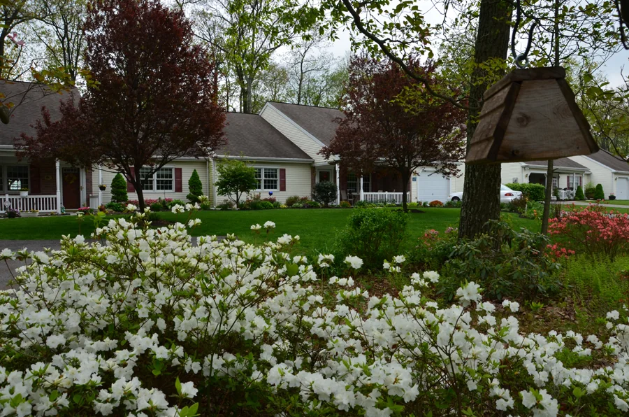 ZERBE SISTERS NURSING CENTER,