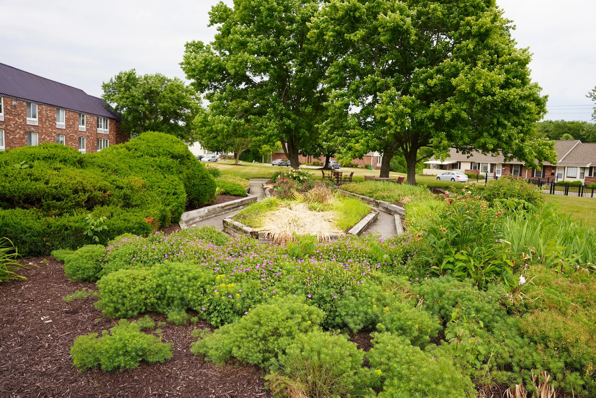 ZIONSVILLE MEADOWS
