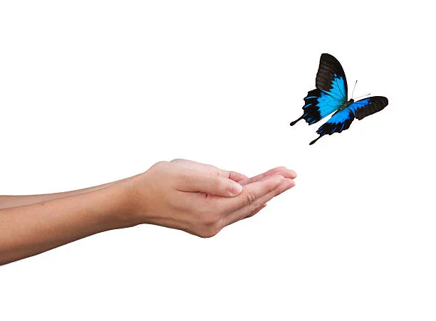 A BLESSING HAND HOME HEALTH, LLC - Photo 4
