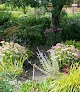 COUNTRY MANOR CAMPUS LLC - Photo 4