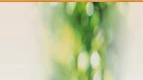 HAVEN HOME HEALTH INC - Photo 1