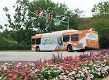 SUMA HOME CARE INC - Photo 4